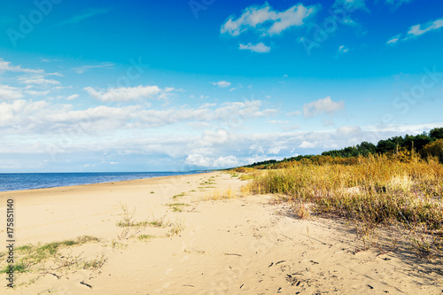 Fototapeta Naklejka Na Ścianę i Meble -  baltic sea beach in Latvia