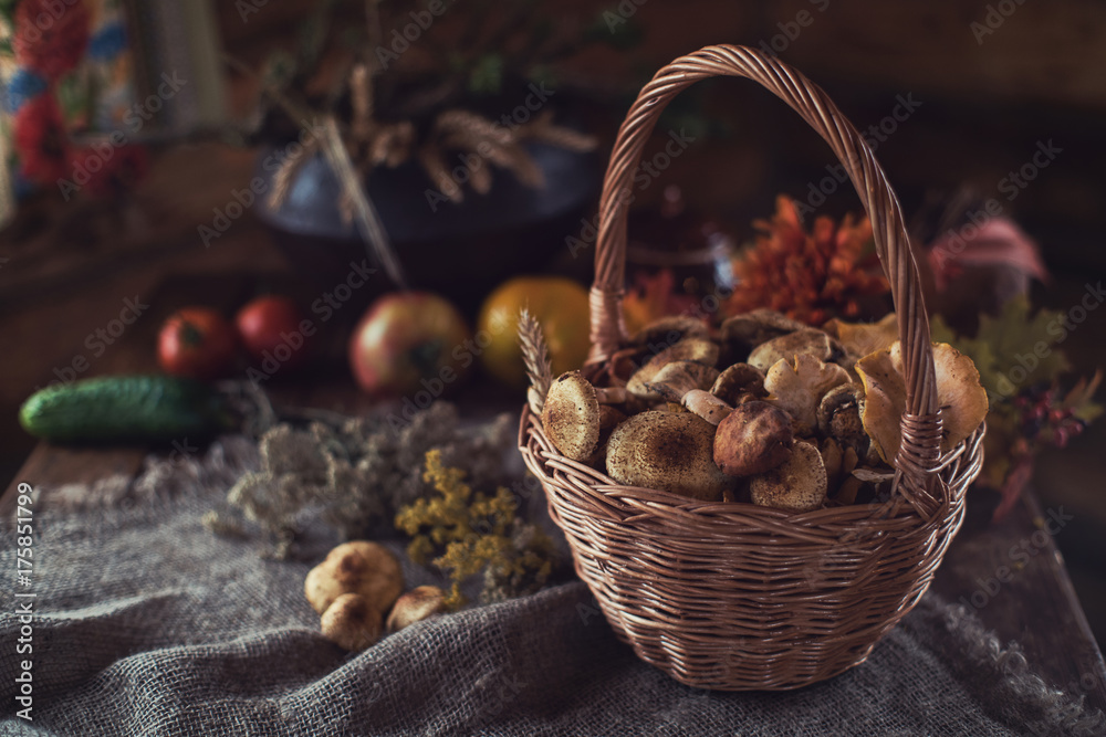 Different mushrooms in the basket Different mushrooms in the basket