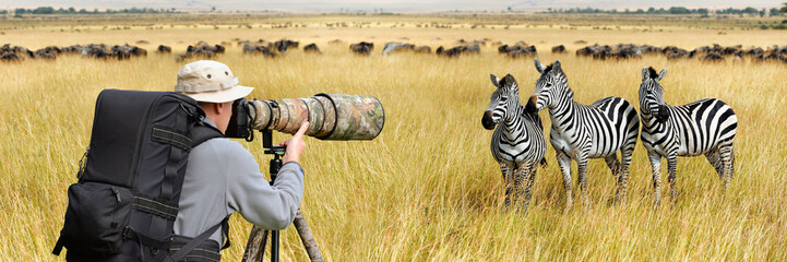 Professional wildlife photographer