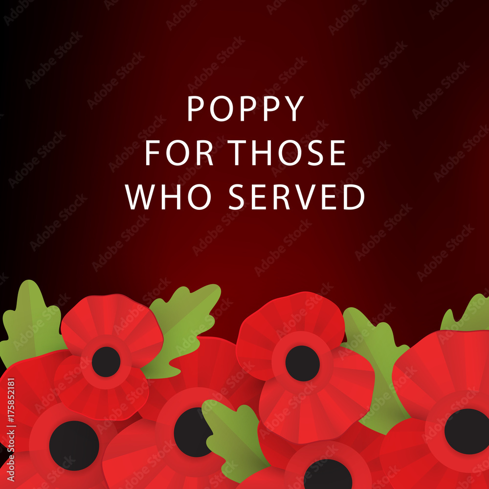 The remembrance poppy The remembrance poppy