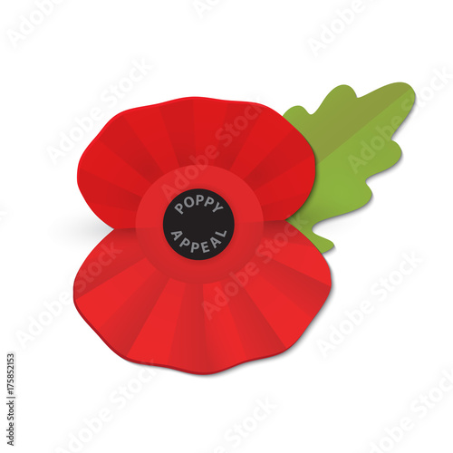 Konstfotografi The remembrance poppy