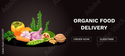 Organic and healthy food delivery banner with colorful icons of