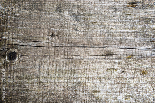 Old grunge gray wooden texture