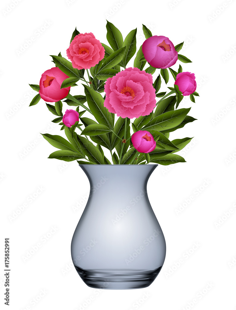Peony flowers in vase Peony flowers in vase