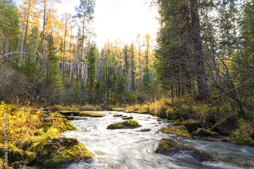 Autumn landscape on a forest river.