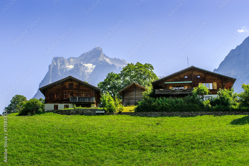 Obraz premium Domki letniskowe w Alpach w jasny letni dzień. Grindelwald, Oberland Berneński, Szwajcaria