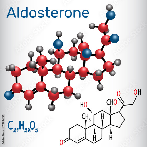 Aldosterone (steroid hormone) - structural chemical formula and molecule model
