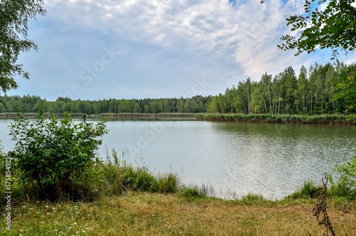 Obraz na płótnie Beautiful summer landscape. Green grass and blue sky at the lake. w salonie