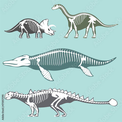 Dinosaurs skeletons silhouettes set fossil bone tyrannosaurus prehistoric animal dino bone vector flat illustration.