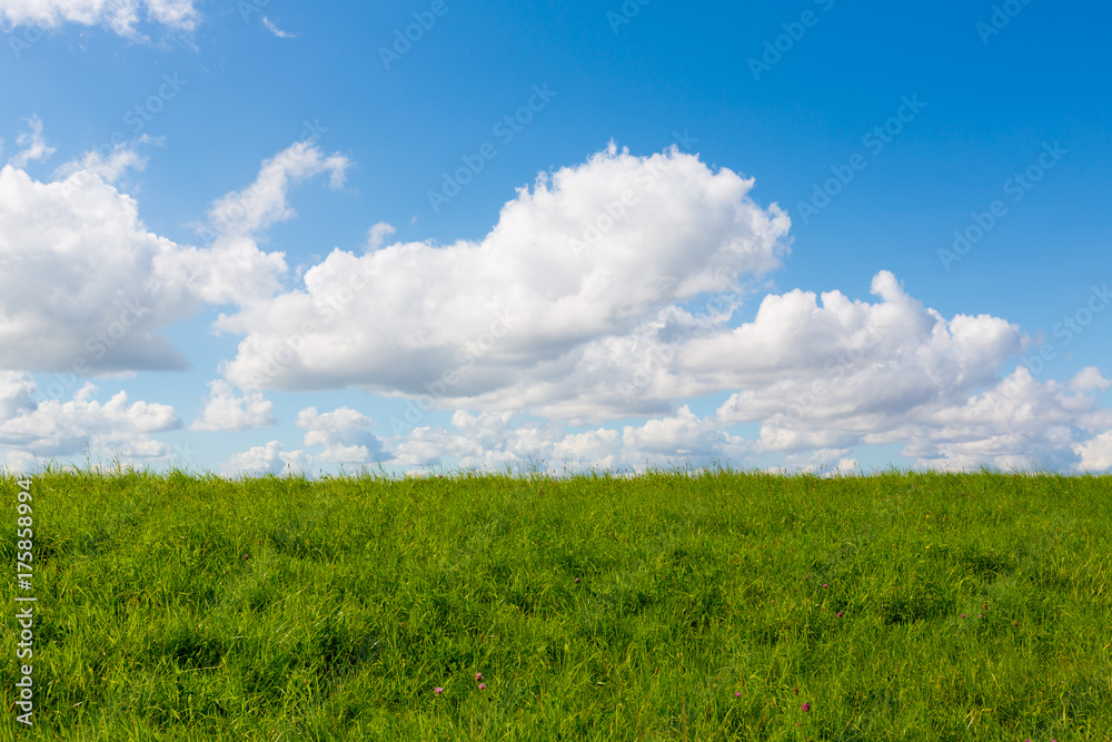 Horizont zwischen blauem Himmel und grüner Wiese