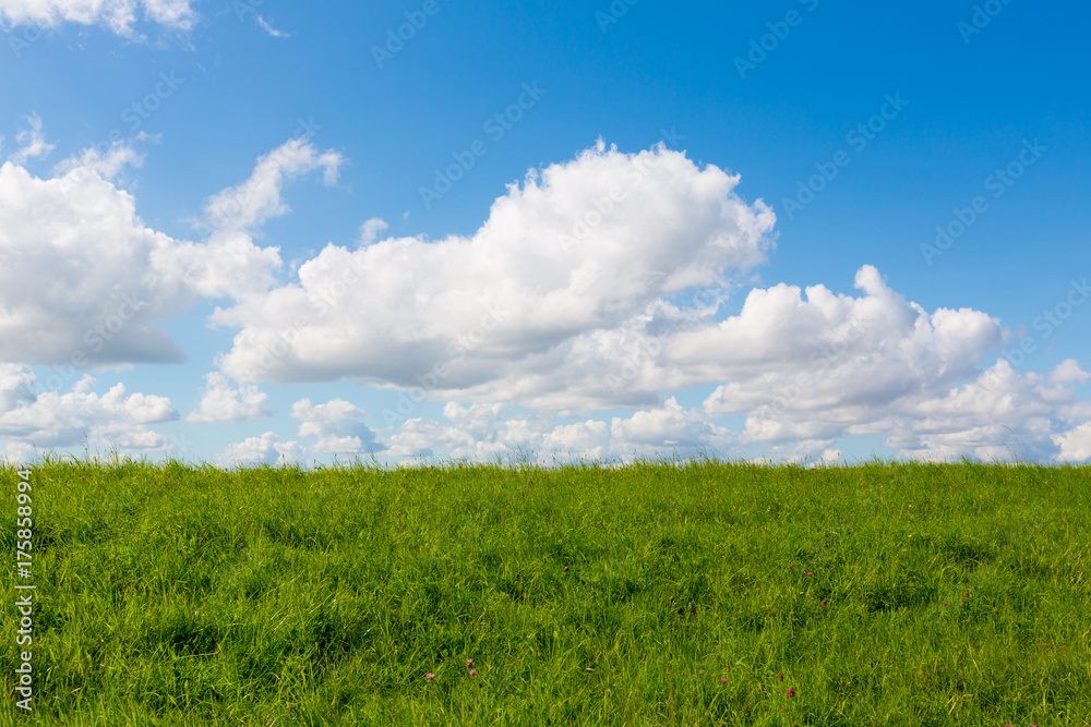 Horizont zwischen blauem Himmel und grüner Wiese Horizont zwischen blauem Himmel und grüner Wiese
