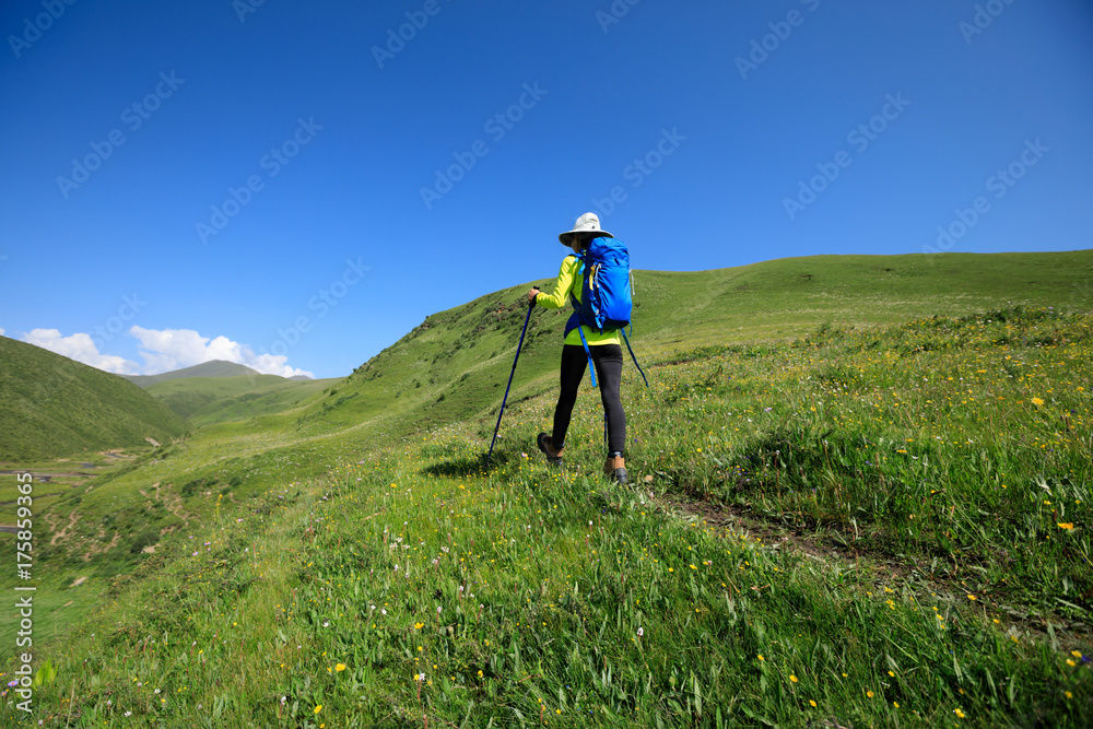 Fototapeta premium backpacking woman hiking on prairie mountain trail