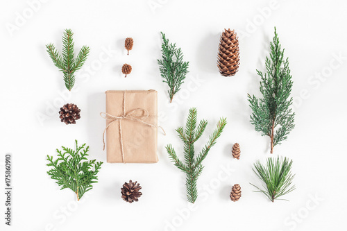 Christmas composition. Gift, different winter plants on white background. Christmas, winter, new year concept. Flat lay, top view