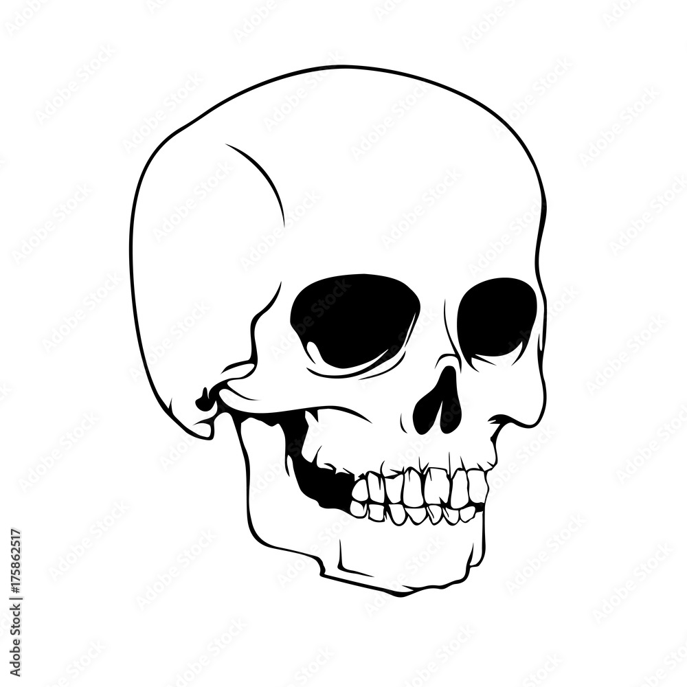 The human skull. Design element for Happy Halloween cards, posters or banner. Cartoon style. Doodles. Vector illustration. The human skull. Design element for Happy Halloween cards, posters or banner. Cartoon style. Doodles. Vector illustration.