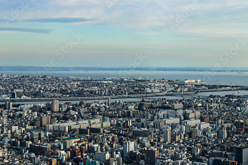 Tokyo skyline from a very high point of view