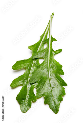 rucola leaves isolated on white