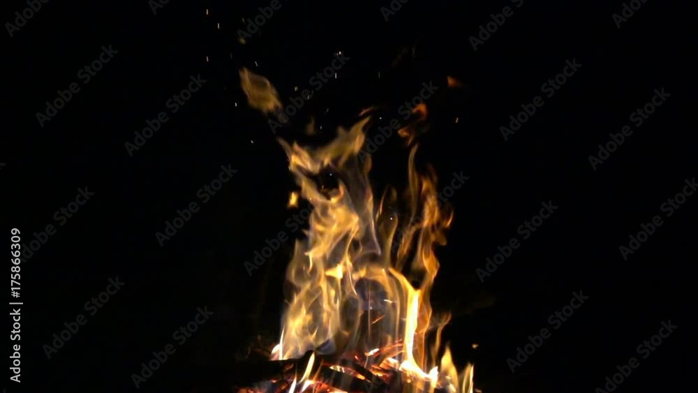 Campfire at night, burning fire bonfire 8x slow motion Campfire at night, burning fire bonfire 8x slow motion