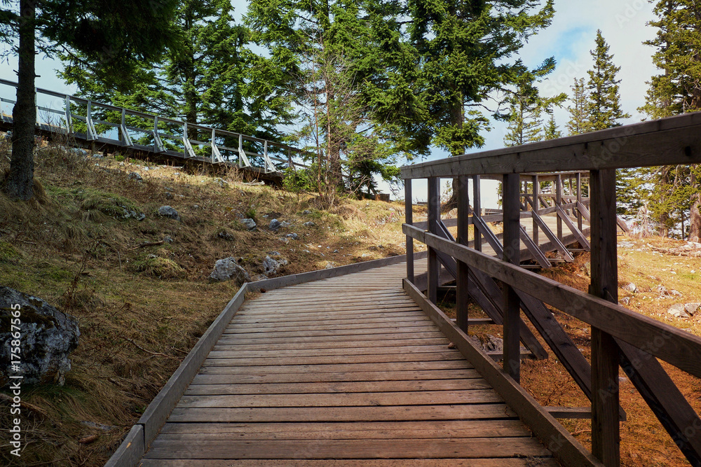 Board bridge for hiking in mountains