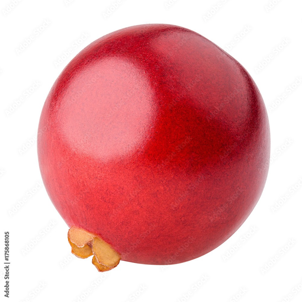 Cranberry, clipping path, isolated on white background, full depth of field, high quality Cranberry, clipping path, isolated on white background, full depth of field, high quality