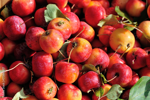 fresh crabapples