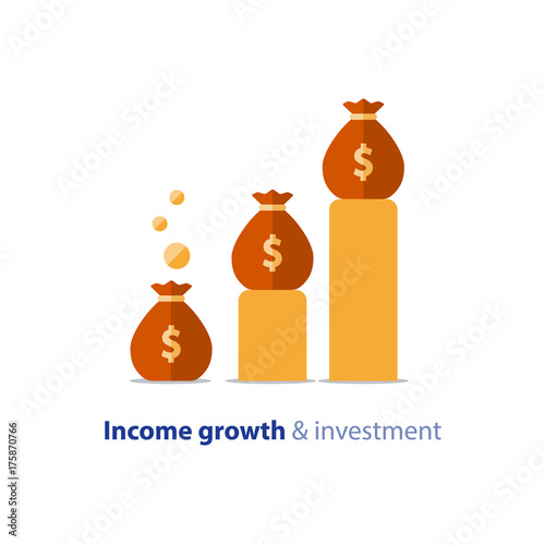 Budget fund planning, business growth, income graph, revenue chart, vector illustration