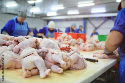 Photography the poultry processing in food industry. Deboning chicken.