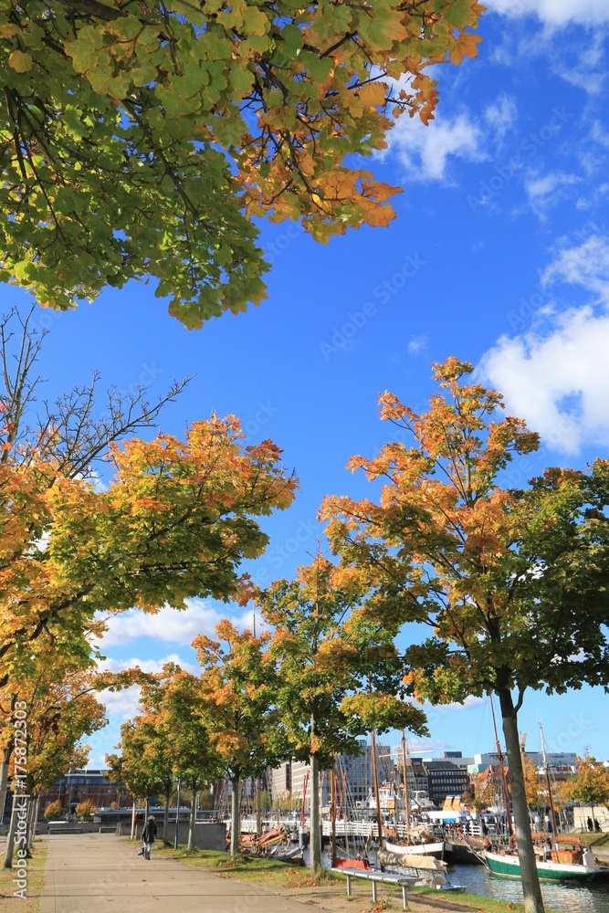 Germaniahafen mit bunt verfärbten Bäumen im Herbst Germaniahafen mit bunt verfärbten Bäumen im Herbst