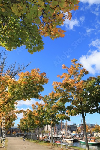 Germaniahafen mit bunt verfärbten Bäumen im Herbst