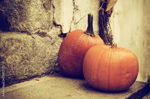 halloweenowa-jesienna-dekoracja