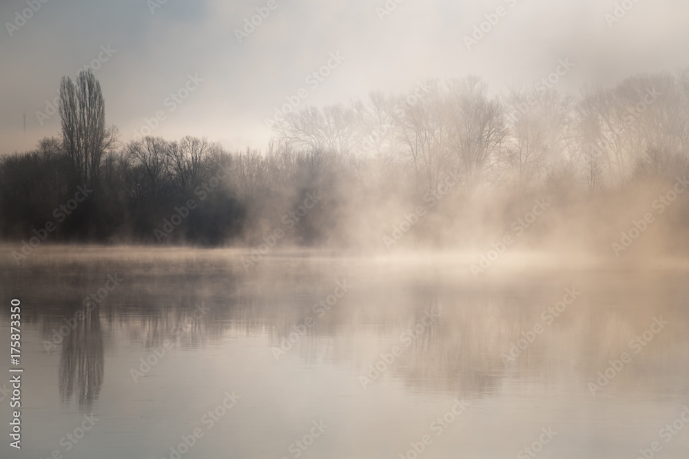 Fototapeta premium Morning on the river early morning reeds mist fog and water surface on the river