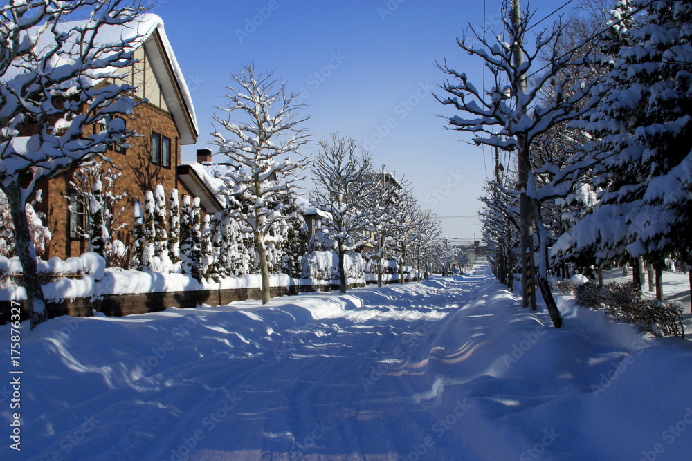 Snow scenery in Sapporo city, Hokkaido