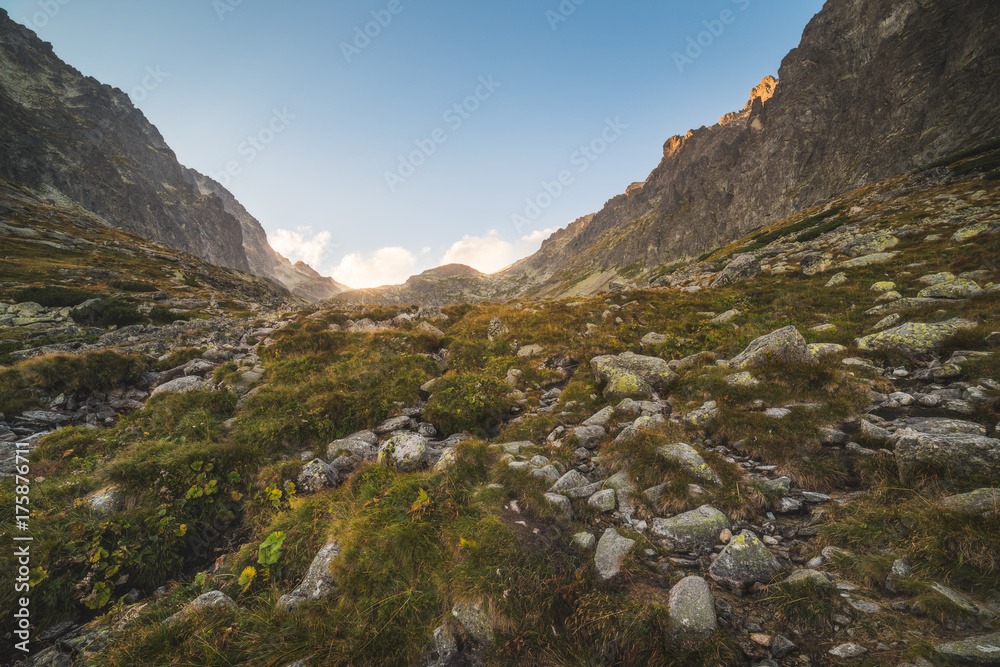 Mountain Landscape with Rocks and Plants in Foreground at Sunset. Velicka Valley, High Tatra, Slovakia.