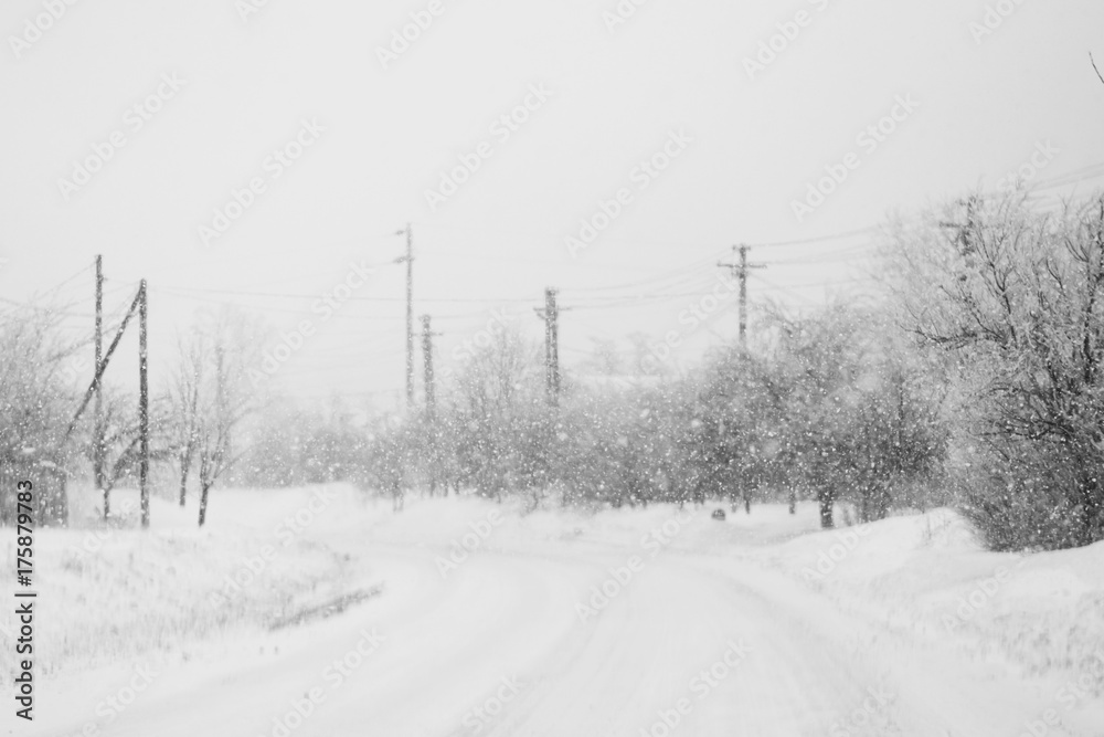 Fototapeta premium Snowing landscape with trees