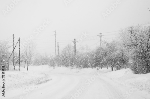 Snowing landscape with trees