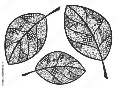 Leaf zentangle ornament doodle coloring page black photo