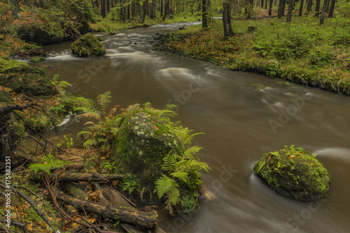 Chribska Kamenice river in national park Ceske Svycarsko photo