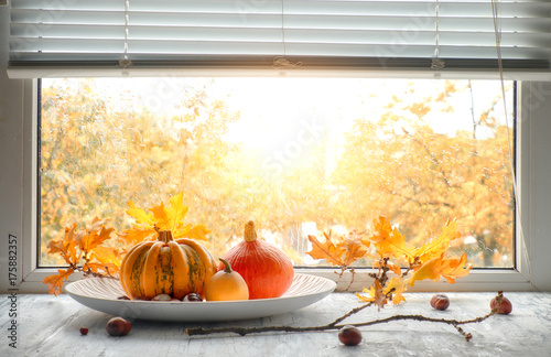 Pumpkins and yellow oak leaves by the window on a rainy day photo