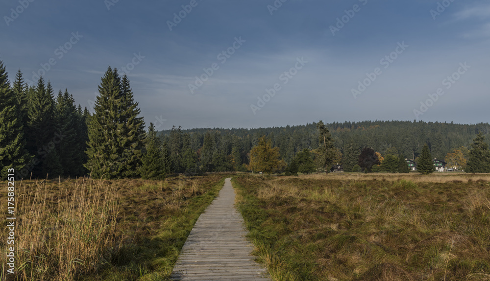 Blue morning near Kladska pond in autumn time
