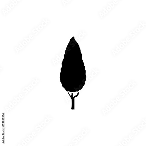 Thuja. Black tree icon