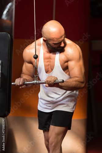 Young Man Exercising Triceps In The Gym