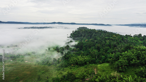 Mountains with trees and fog in thailand