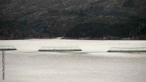 Wallpaper Mural Salmon farm on Nordfjord, near Bergen,  Norway Torontodigital.ca