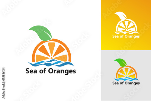 Sea of Oranges Logo Template Design