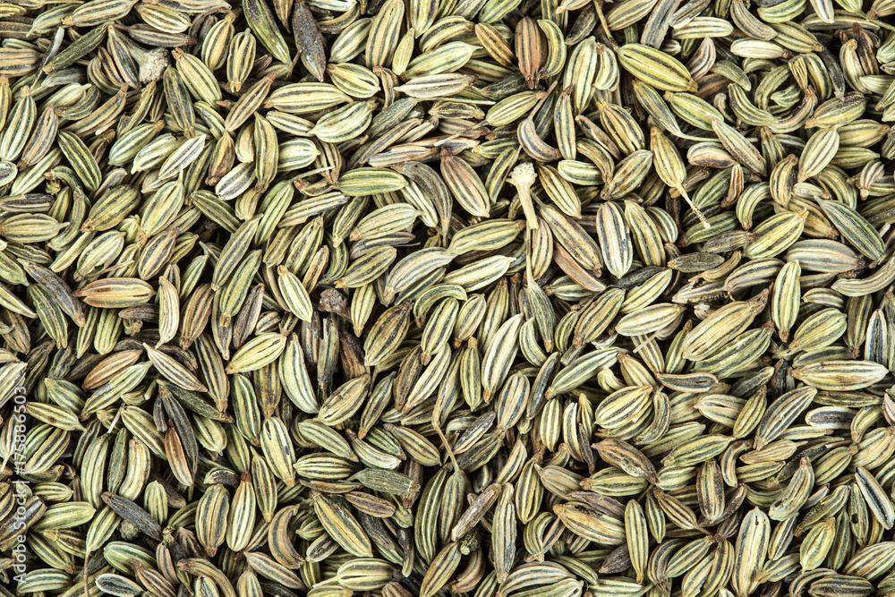 close up the fennel seed texture background close up the fennel seed texture background