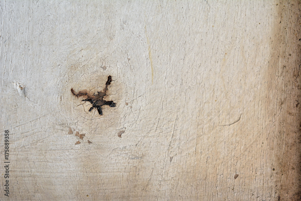 White Old Wood Texture White Old Wood Texture