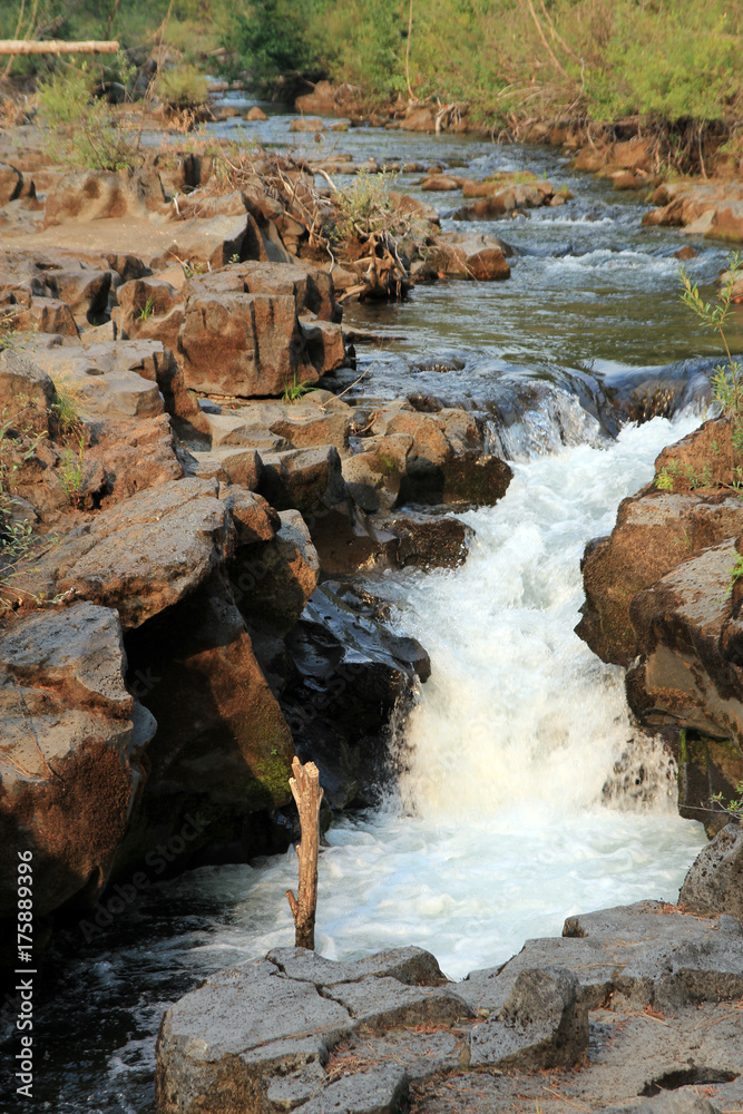 Fototapeta premium Rogue river waterfalls in California, USA