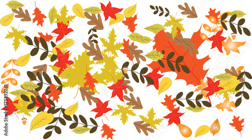 autumn leaves-Autumn background with colorful leaves © lewwu