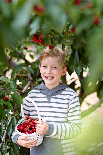 kid picking berries