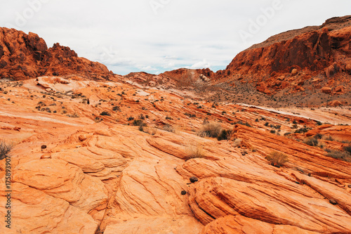 amazing sandstone shapes at valley of fire national park  nevada