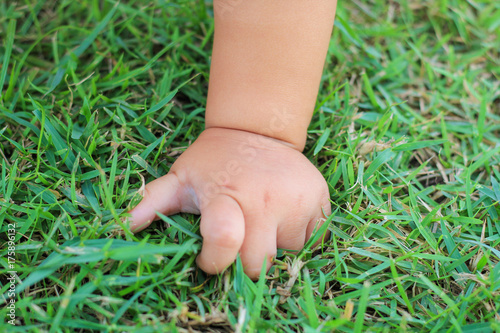 Baby hand on green grass in the park © Thanrada H.